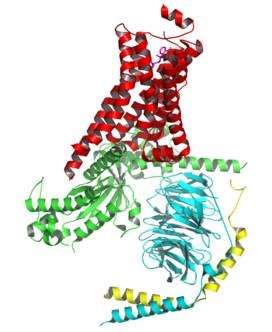 蛋白质组学磷酸化肽专用捕集产品介绍